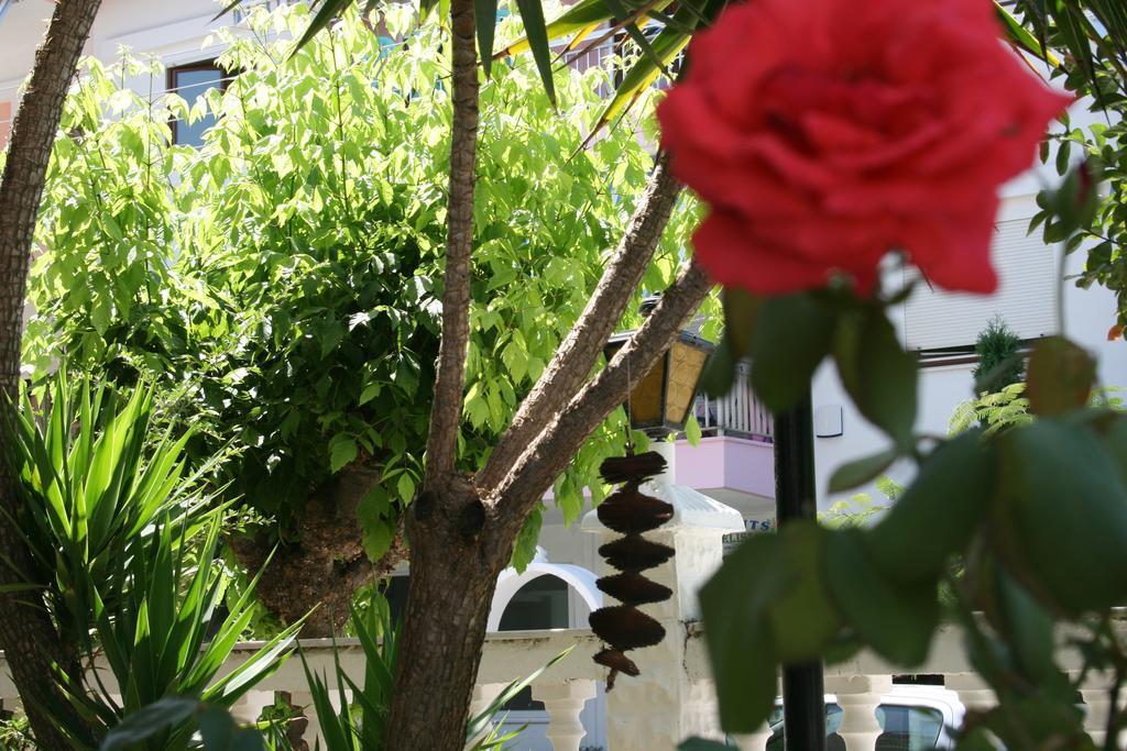Dionisos Palms Apartments Paralia Dionysiou Pokoj fotografie