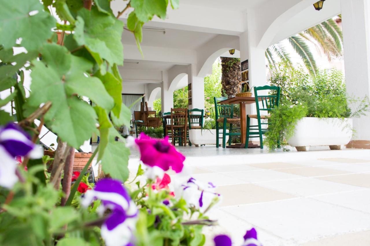 Dionisos Palms Apartments Paralia Dionysiou Exteriér fotografie